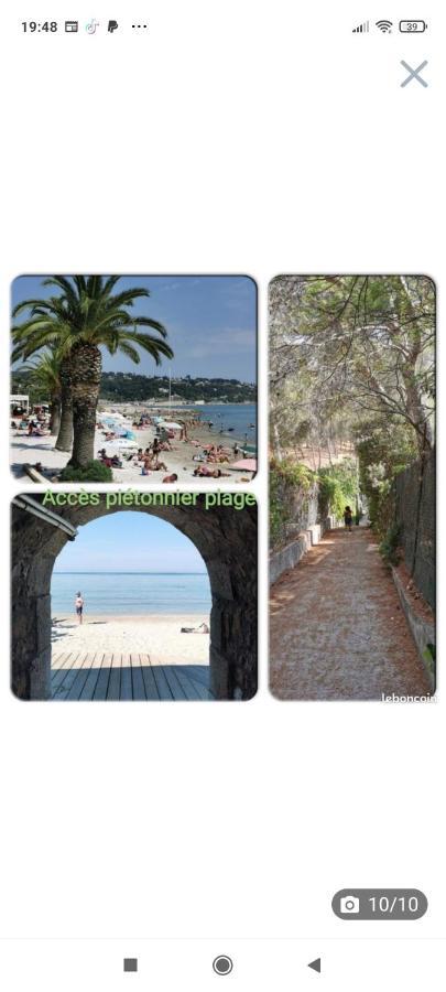 Studio Rdj Terrasse Piscine Sanary Sur Mer 外观 照片